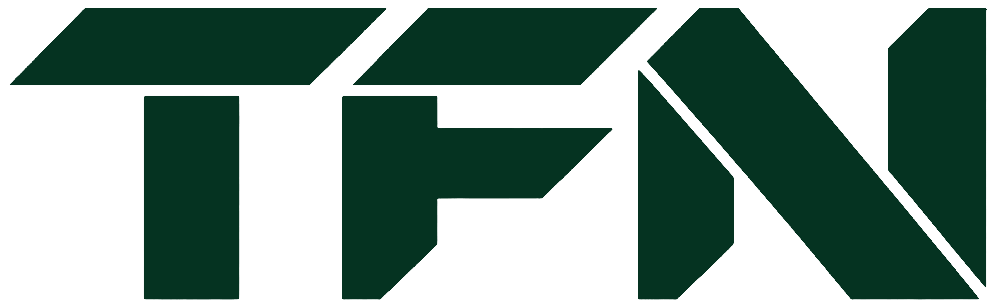 Вилочные погрузчики TFN (ТФН) недорого,