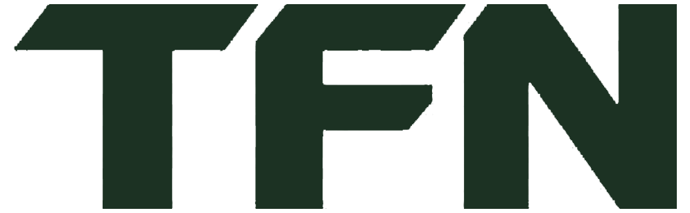 Вилочные погрузчики TFN (ТФН) недорого,