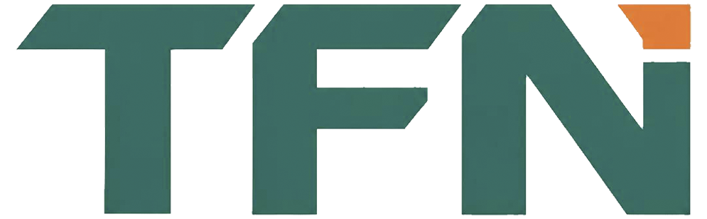 Вилочные погрузчики TFN (ТФН) недорого,